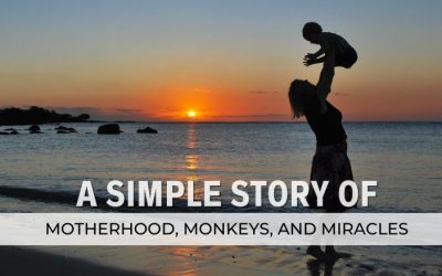 A Simple Story of Motherhood, Monkeys, and Miracles