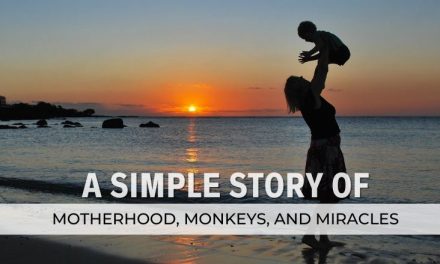 A Simple Story of Motherhood, Monkeys, and Miracles